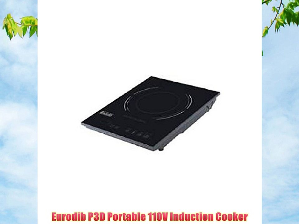 Eurodib P3D Portable 110V Induction Cooker