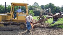 Field planting of bareroot trees 2015