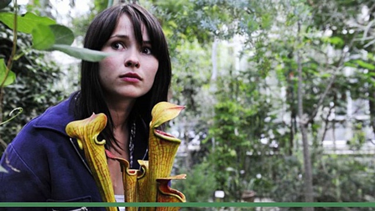 Groupies bleiben nicht zum Frühstück  Movie FULL  2010 V