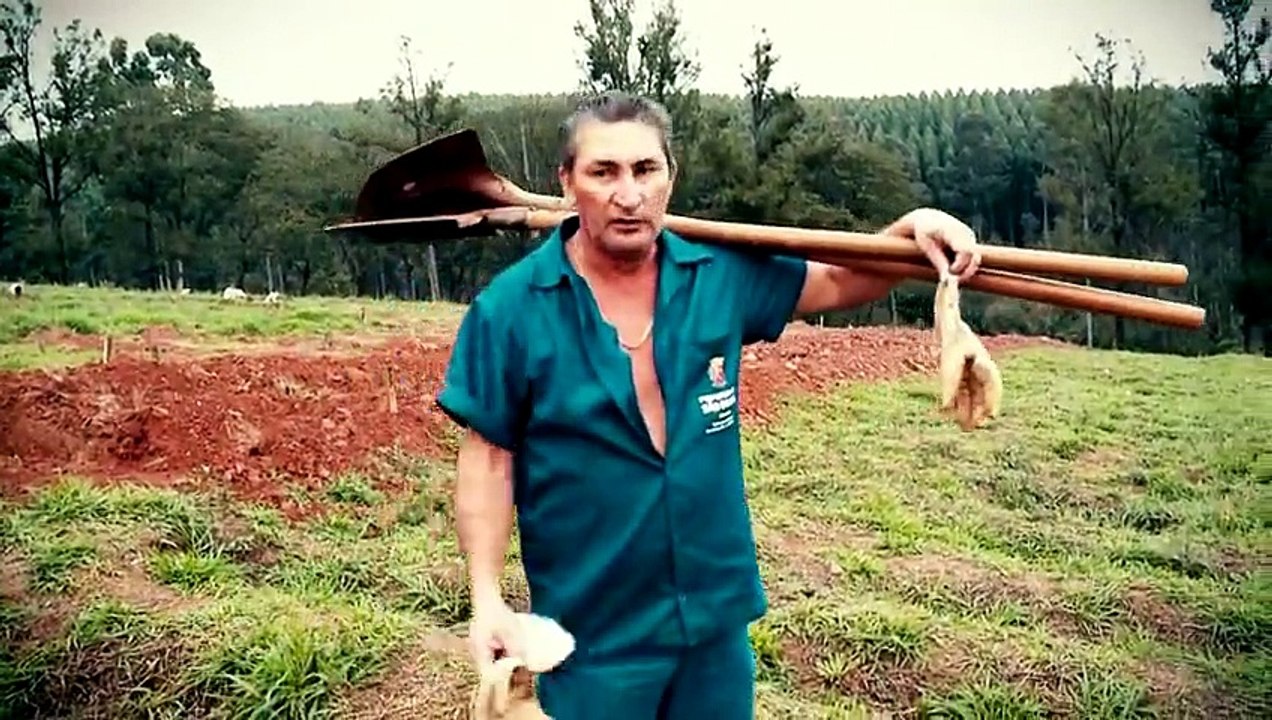 Assistir PROFISSÃO REPÓRTER - Desaparecidos - 01-09-2015 Parte Única Online Completo