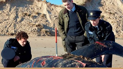 Grabbers  2012 ™ Full Film HD QUALITY