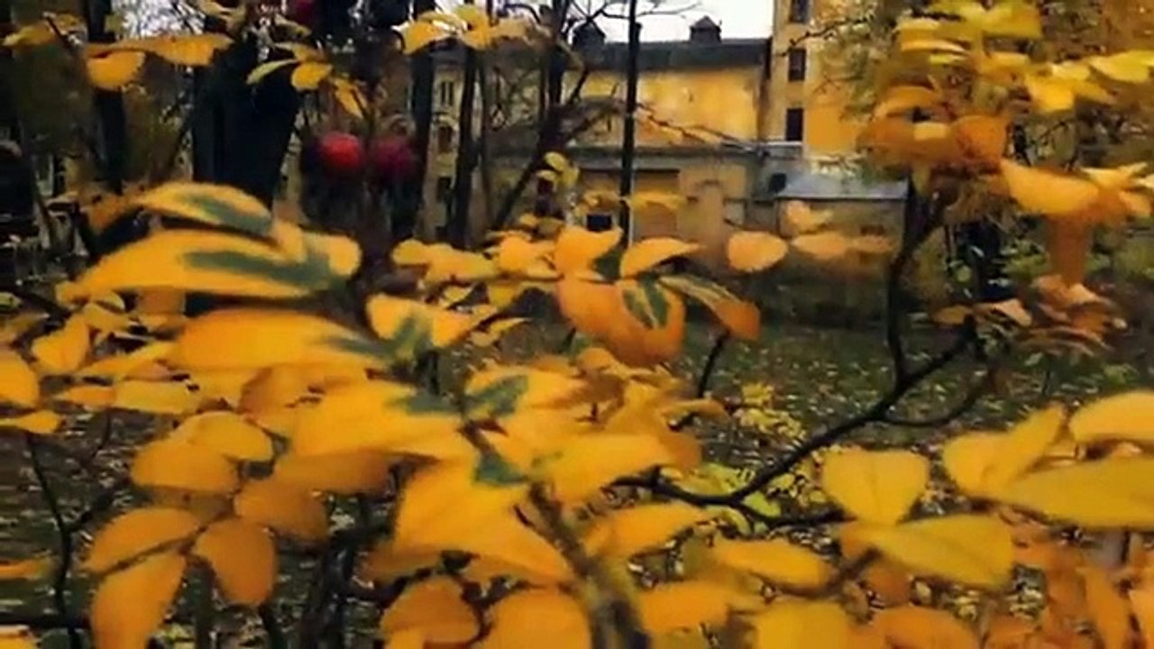 Alberto Ruy Sánchez / Sinembargo / Anna Ajmátova y la música de sus silencios