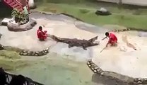 Man Fighting With Crocodile - Amazing Dangerous Video Dailymotion - Video Dailymotion