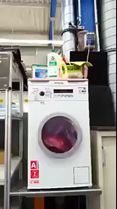 Really Amazing Must See