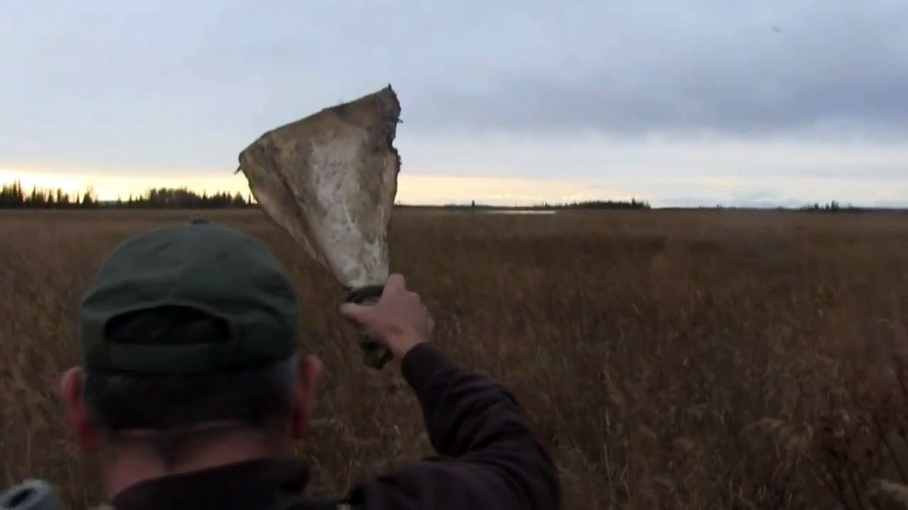 2014  69" Alaskan Yukon Moose Hunt