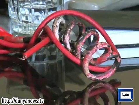 Child Protection Bureau saves life of another tortured girl in Lahore- Dunya News