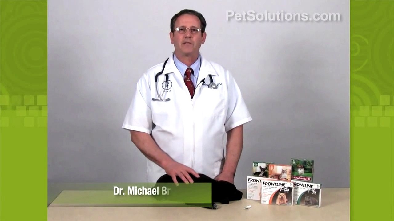 PetSolutions: How to Apply Flea Prevention Products to Your Dog or Cat