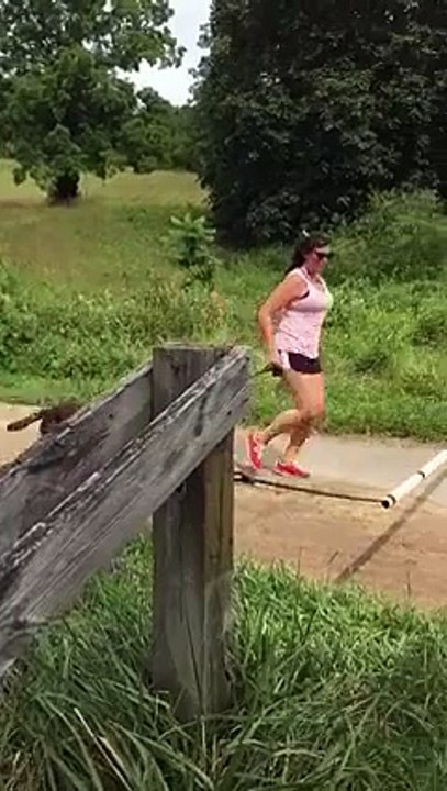 they say like owner ,like dog