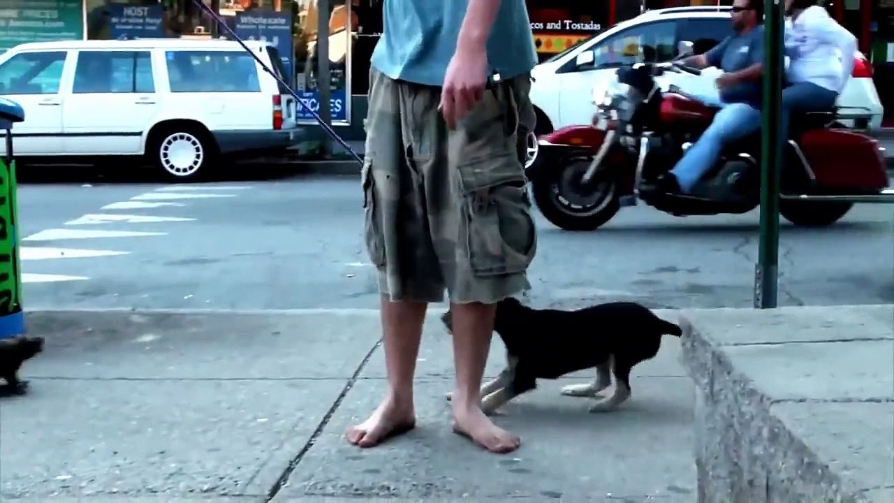 OMG Remote Controlled Rat Prank In Public