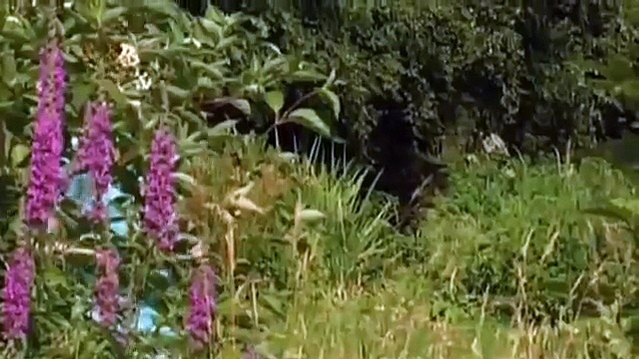 Freiwillig in den Hungertod Magersucht und ihre Folgen Doku über Magersucht Teil 1