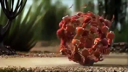 Смешной мультфильм про дружбу