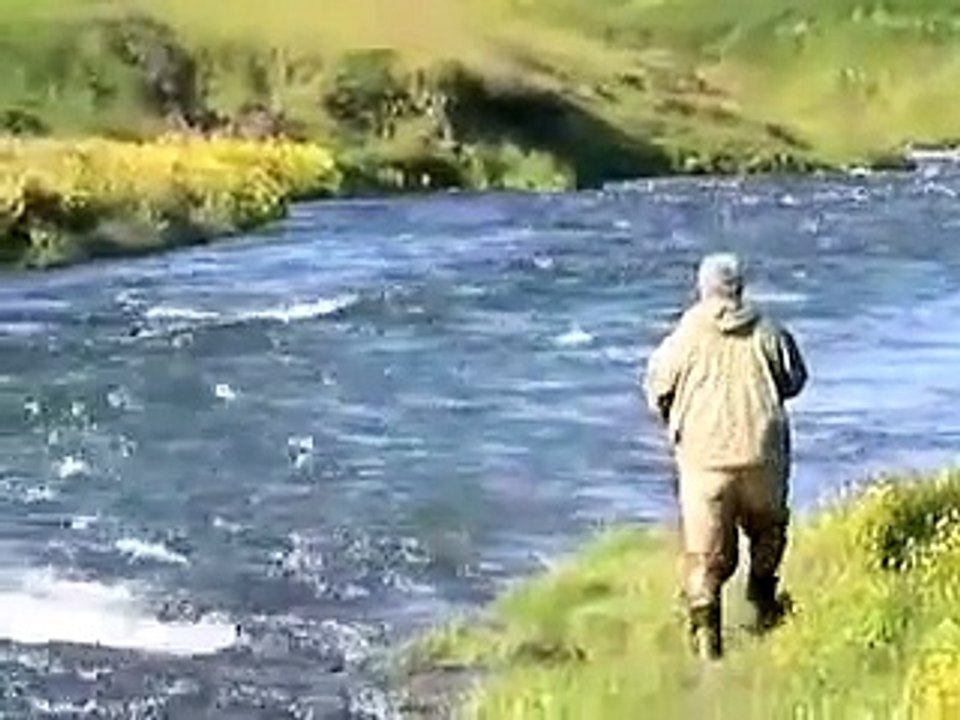 Unbelieveable Salmon Fishing In Iceland