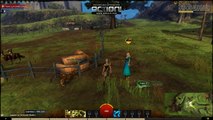 Guild wars 2 gameplay [Serveur FR]