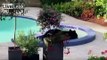 Black Bear Chills Out In Couple's Hot Tub