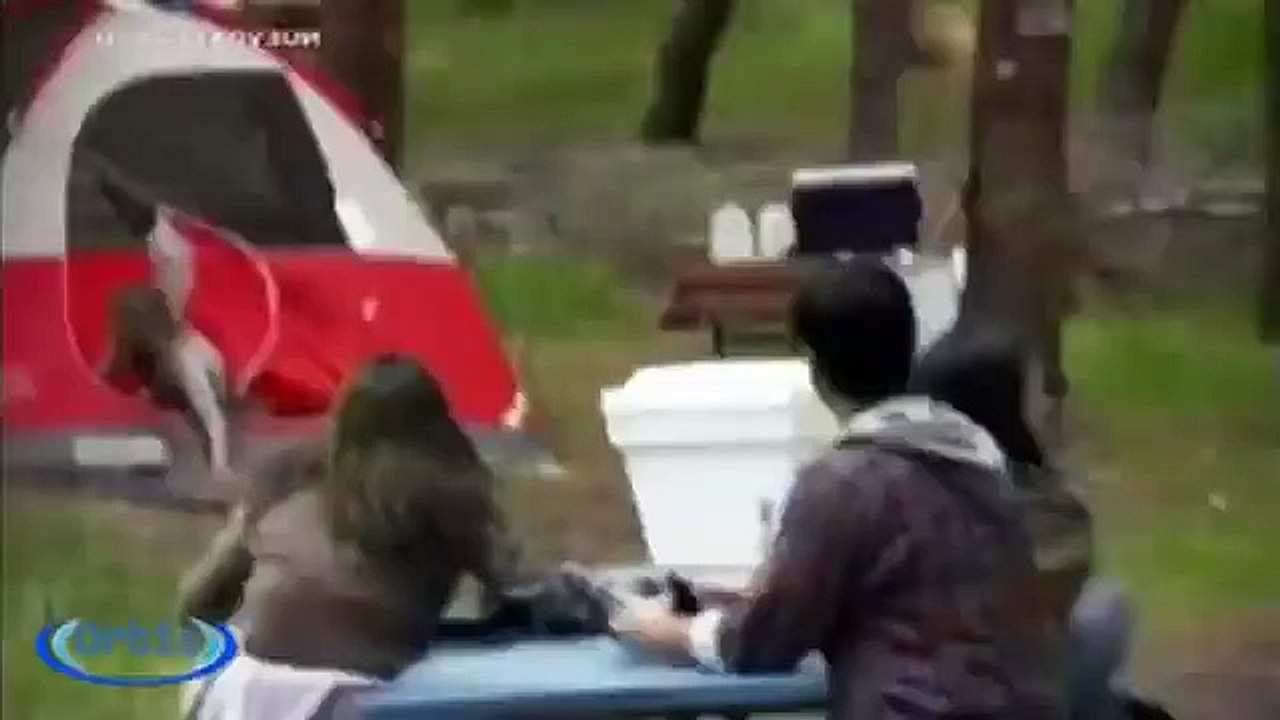 Poop Hispano: Aprende a sobrevivir con Bear Grylls