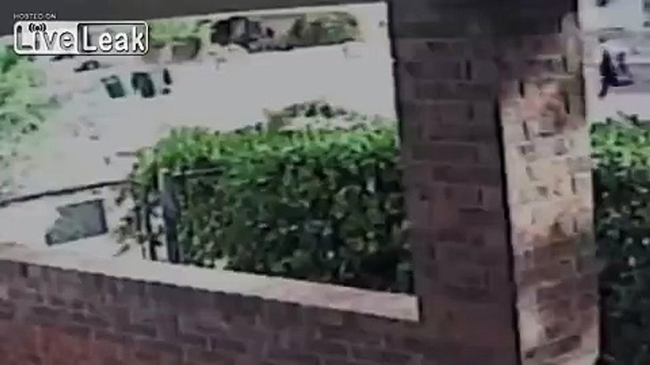 Two armed robbers mowed down by victim