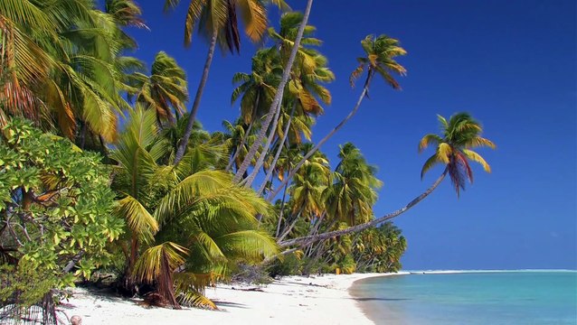 CDM ILES LOINTAINES DE POLYNESIE, Tuamotu, Marquises, Gambier, Australes BA du film d'ANTOINE