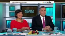 MSNBC: Immigration Lawyer Michael Wildes on Immigration Reform 2013
