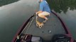 Fisherman saves two cute kittens swimming into lake