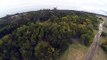 Wedge-Tailed Eagle Collides With Drone in Australian Skies