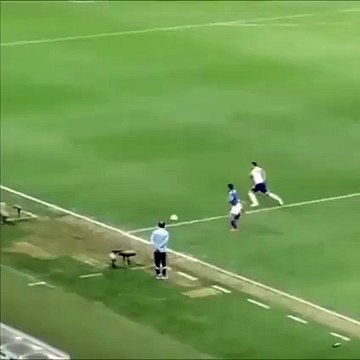 The Fans Celebrate Like They Have Scored A Goal