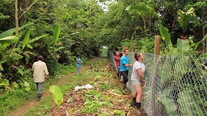 South America Gap Year Travel