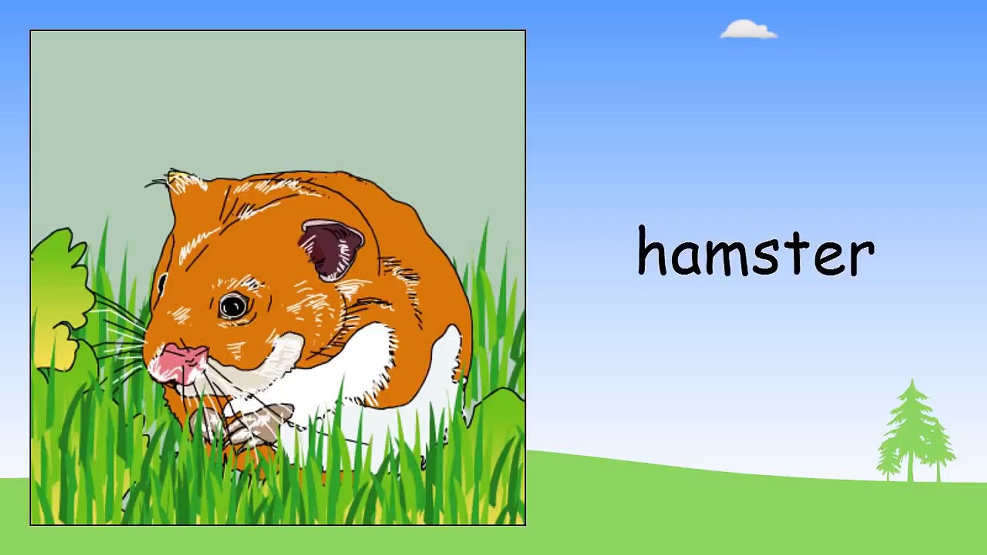 Pet animals in English   Beginner English Lessons for Children