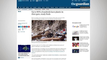 Download Video: Nine In Ten Seabirds Have Plastic In Their Systems