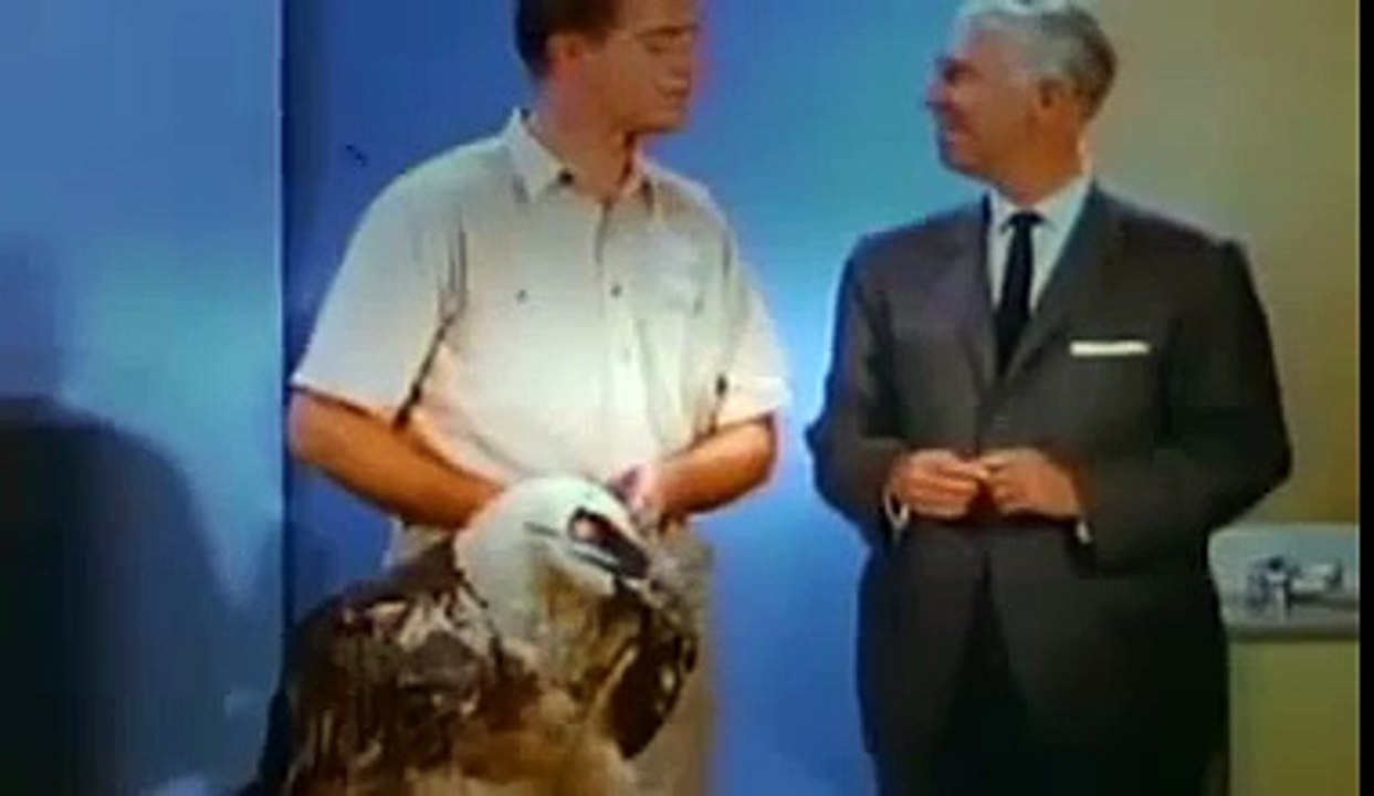 Strange But True ANIMAL DOCUMENTARY