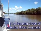 The Jumping Crocs (Crocodiles) of the Adelaide River in Australia