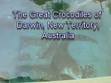 The Great Crocodiles of Darwin Australia and the Northern Territory