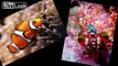 Ornamental fish prettiest colors and Most Beautiful in the World