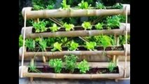 Algunas ideas para realizar huertos o jardines verticales