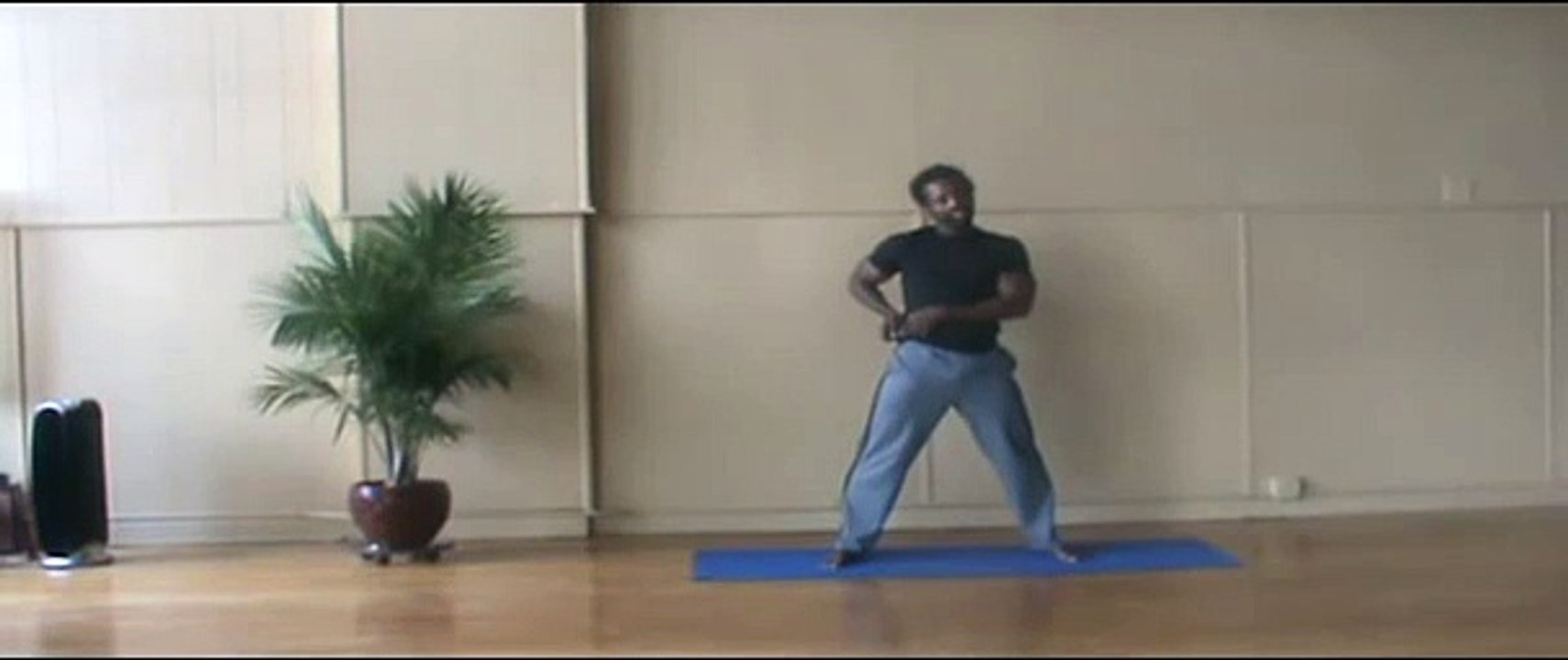 Hatha Yoga Flow Advanced: Kansas City Yoga Classes and Certification