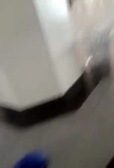 لقطة اليوم : علوش في مطار جربة جرجيس الدولي