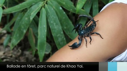 Le Zapp' d'Adé & Jean: Thaïlande. Part.2