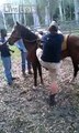 rider tries to ride bucking bronco and takes a kick.
