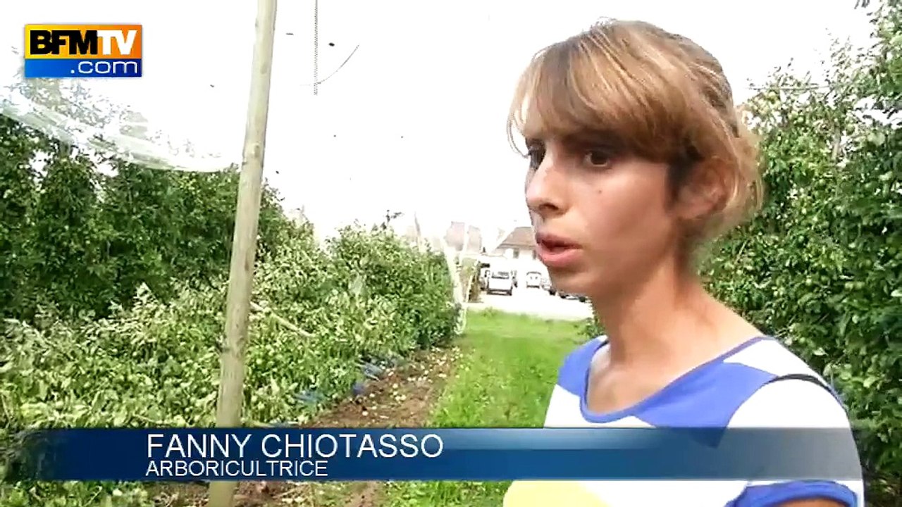 Montauban: après la tempête, les arboriculteurs s’inquiètent pour leur récolte