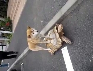 VID-20150901-WA0023.3gp