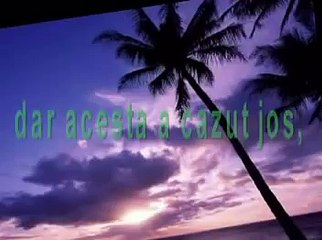 Ti-am scris numele...