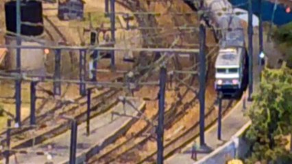 Exposition Orléans 2013