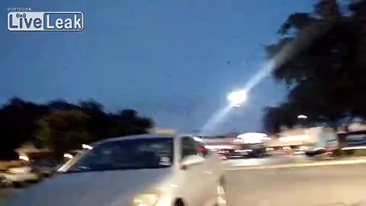 Birds Birds Birds Birds...BIRDS!!