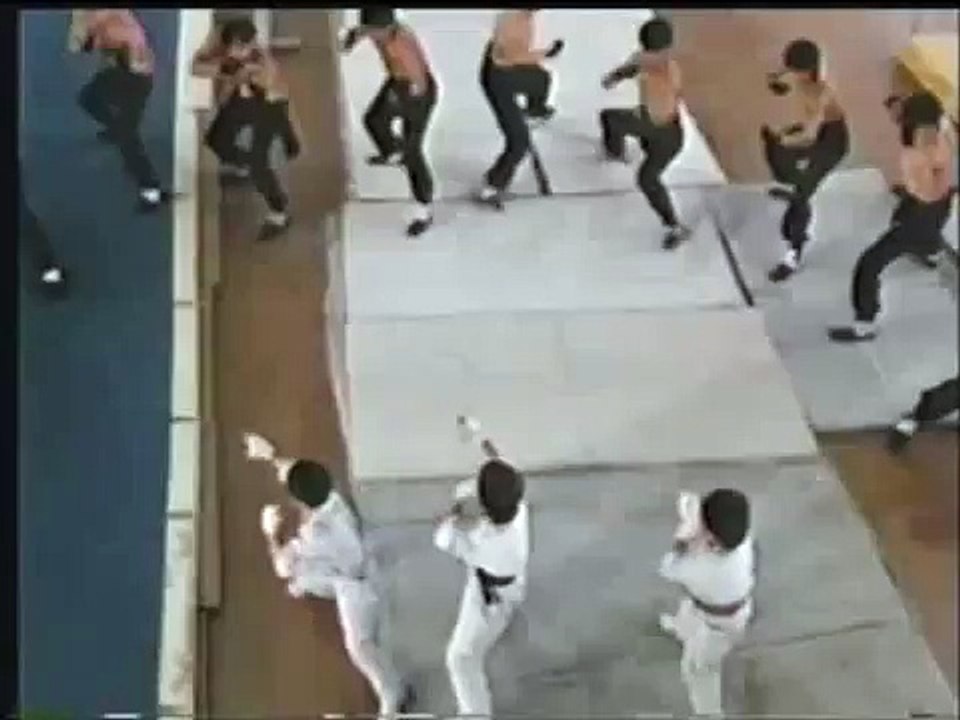 Young Dragons: The Kung-fu Kids part 11