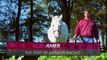 Arabian Horses Compilation of 12 Different Pure Arabian Breeds | horses compilation