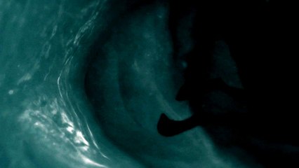 Annecy 2015 - Dans les eaux profondes - Palmarès