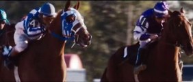 Tribute to secretariat -  Hunting high and Low