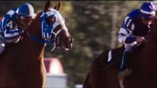 Tribute to secretariat -  Hunting high and Low