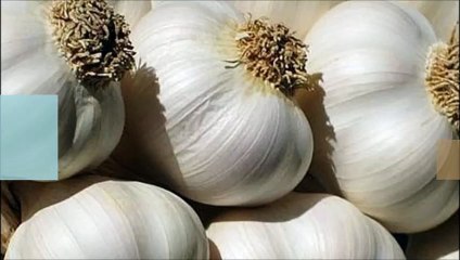 طريقة الاحتفاض بالثوم لمدة طويلة