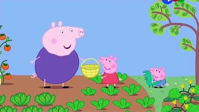 Свинка Пеппа! 1 сезон 37 серия. Обед!!! Мультфильм | Peppa Pig russian