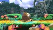 Super Smash Bros. for Wii U - Combat 3 - amiibo Donkey Kong